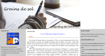 Page d'accueil du blog Grains de sel